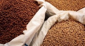 Thủ tục nhập khẩu thức ăn chăn nuôi và nguyên liệu thức ăn chăn nuôi